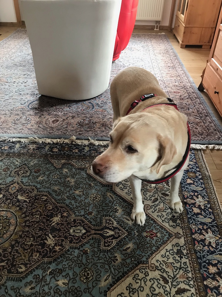 Bailey2